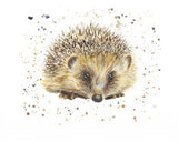 Diamante Crafts Bree Merryn Paint by Numbers - Collection of Animal Illustrations 40 x 50cm