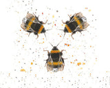 Diamante Crafts Bree Merryn Paint by Numbers - Collection of Animal Illustrations 40 x 50cm