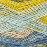 Kingcole Bramble DK - 100% Premuim Acrylic - 100g - 290m