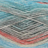 Kingcole Bramble DK - 100% Premuim Acrylic - 100g - 290m
