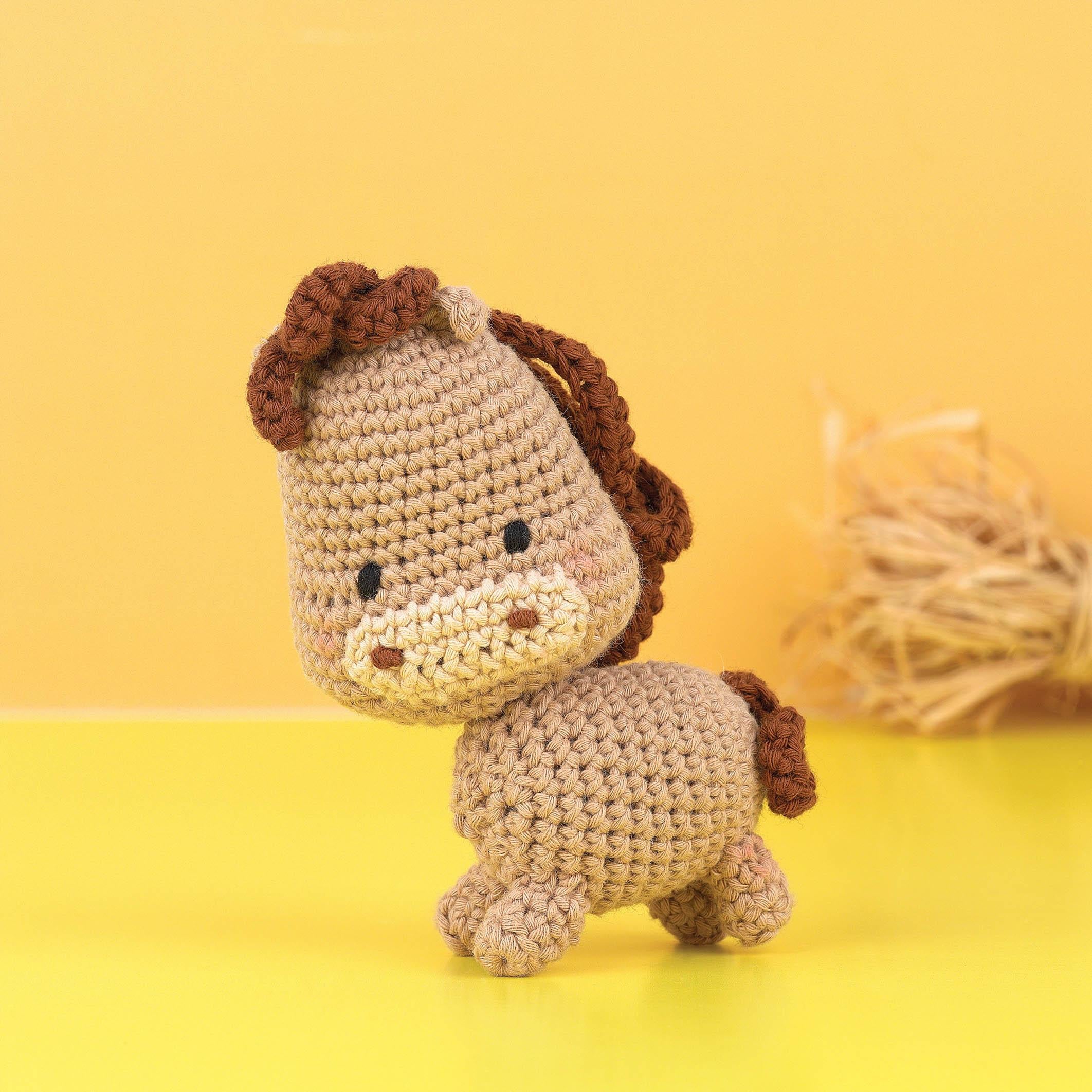 Kitty critters - Hello adorables - DIY Crochet Kit