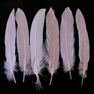 Pink Goose Feather