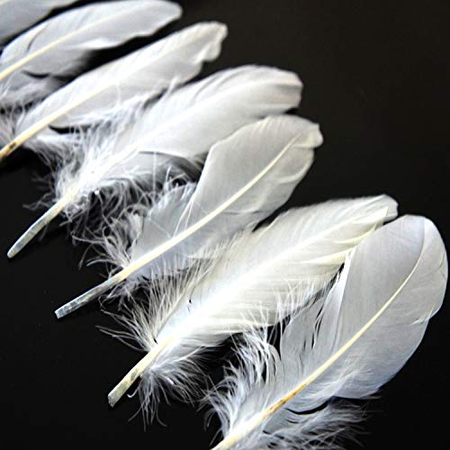 White Goose Feather