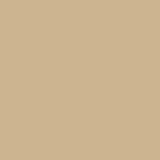 A5 Vinyl Sheets Siser EasyWeed - Sand