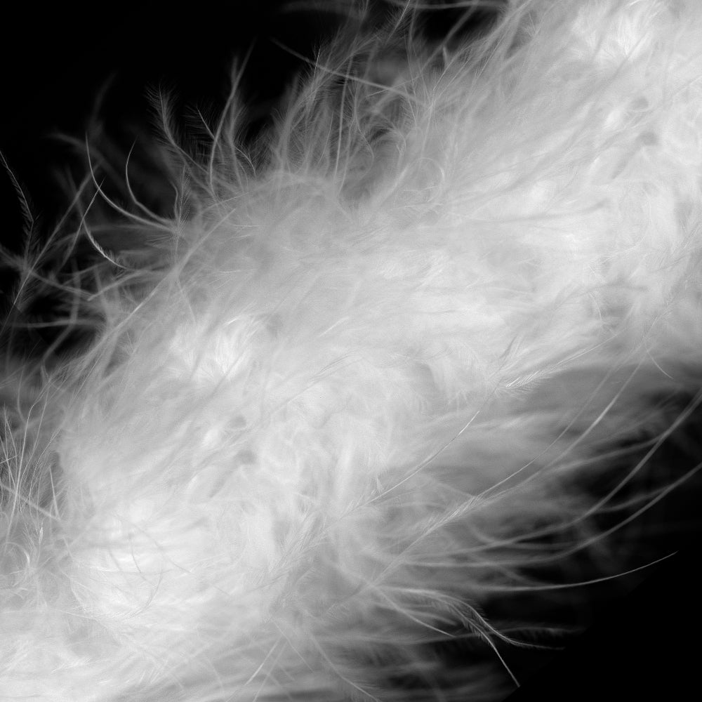 Marabou Swansdown Feather Trim- White