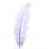 Diamante Crafts Ostrich Feathers 10" - 12" / 25cm- 30cm - Plume Fluffy - Silver Grey