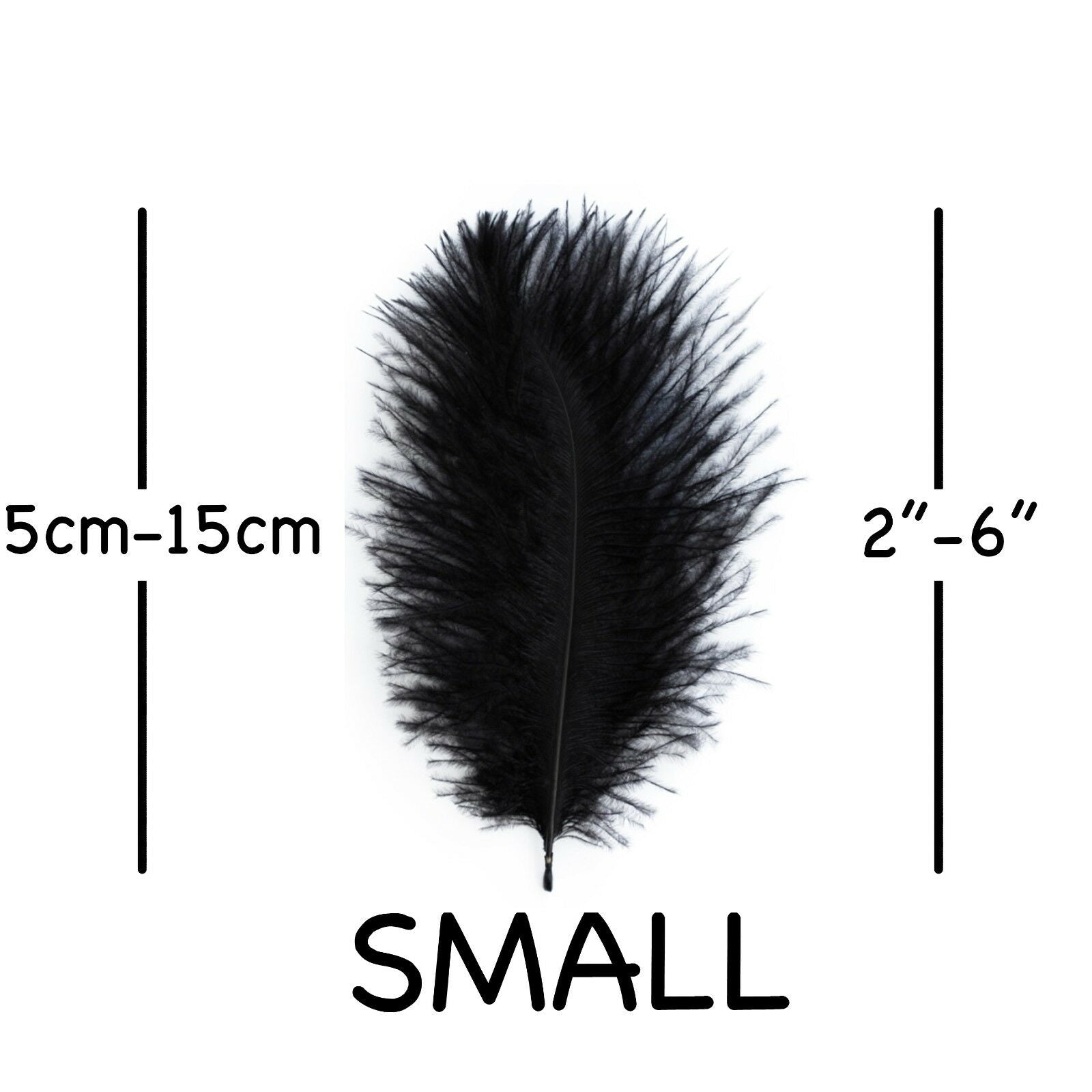 Black Ostrich Feathers 2" - 6"