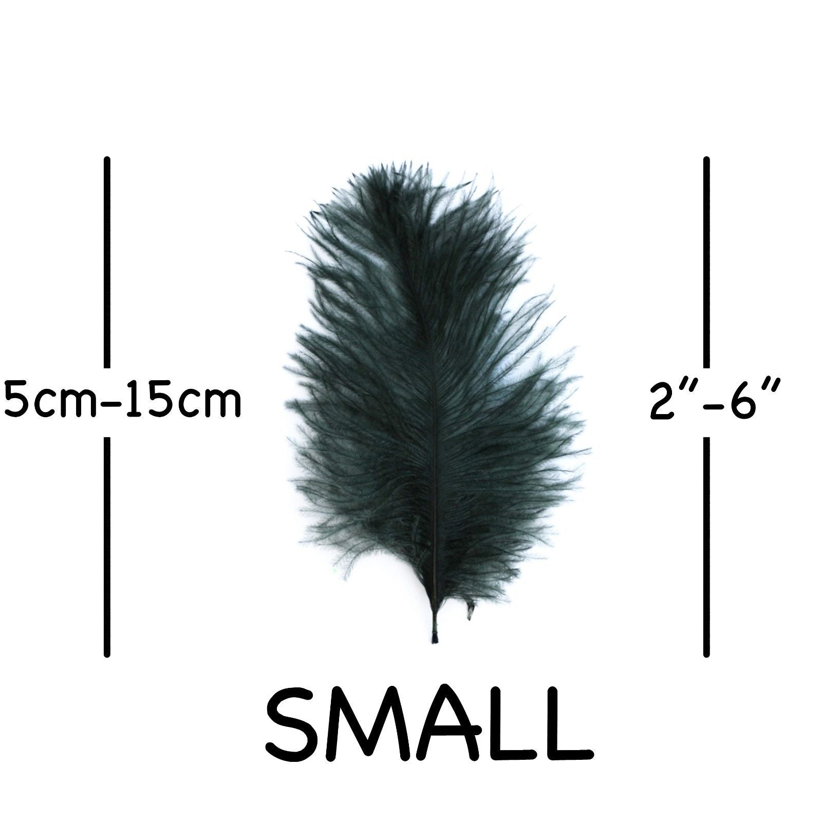 Bottle Green Ostrich Feathers 2" - 6"