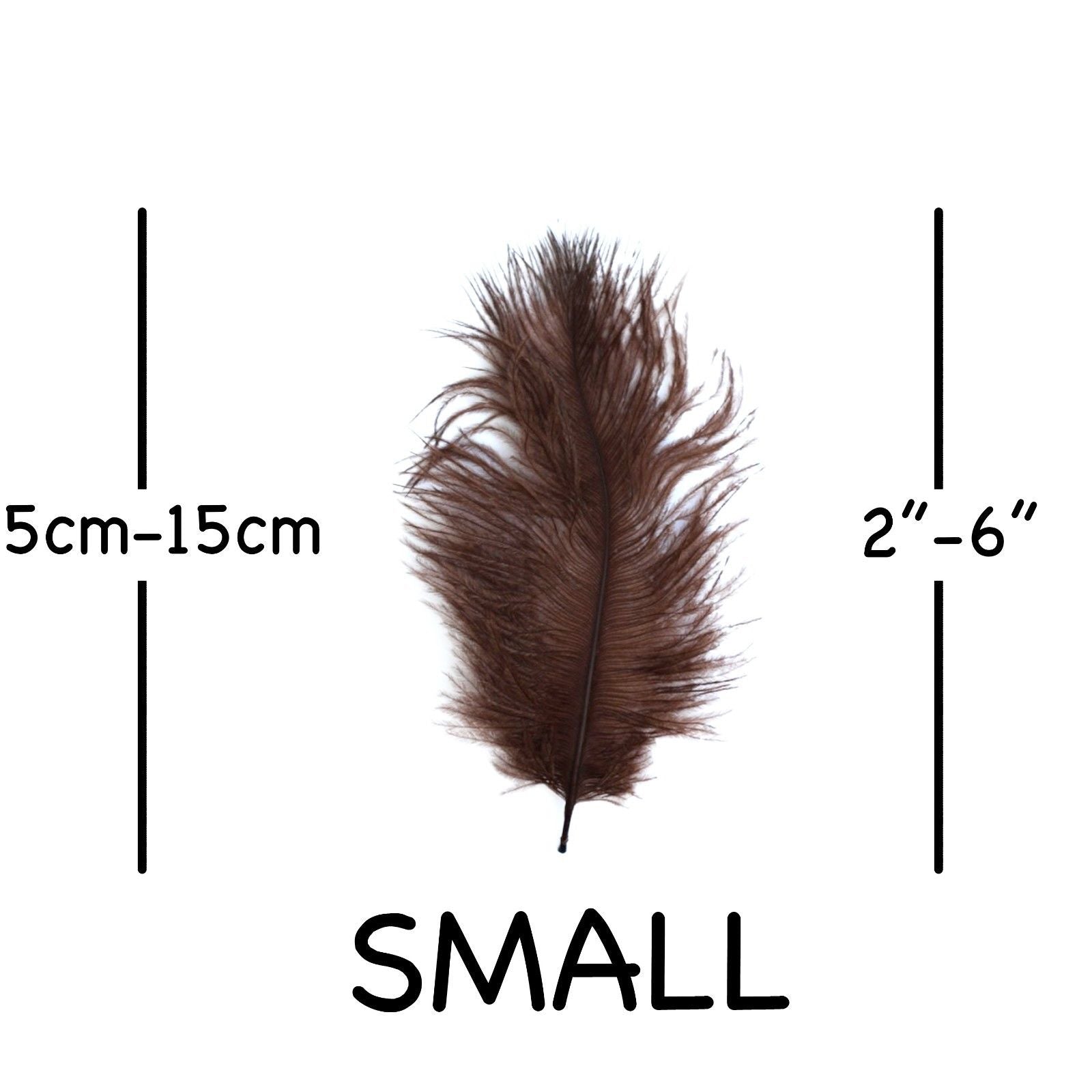 Brown Ostrich Feathers 2" - 6"