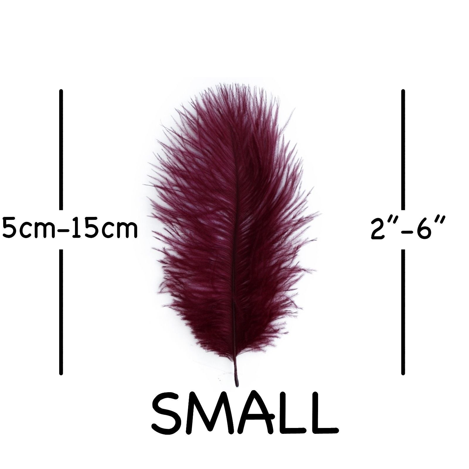 Burgundy Ostrich Feathers 2" - 6"