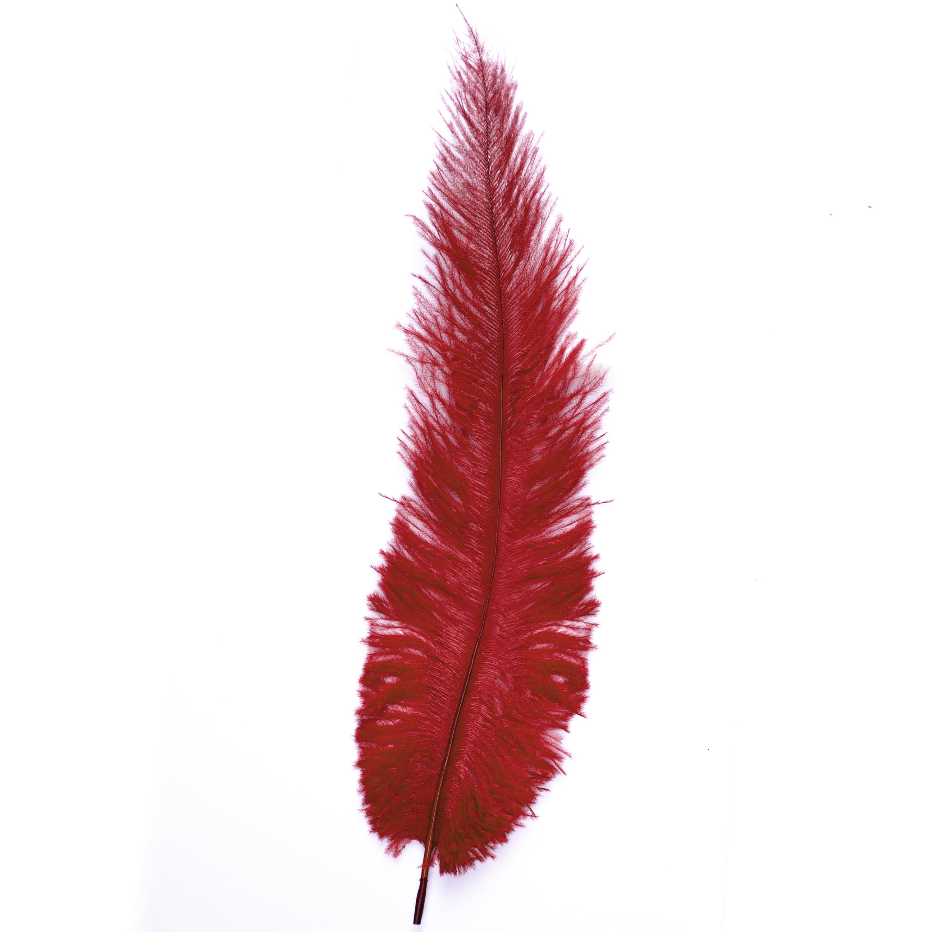 Diamante Crafts Ostrich Feathers 10" - 12" / 25cm- 30cm - Plume Fluffy - Burgundy