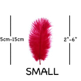 Cerise Ostrich Feathers 2" - 6"