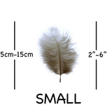 Gold Ostrich Feathers 2" - 6