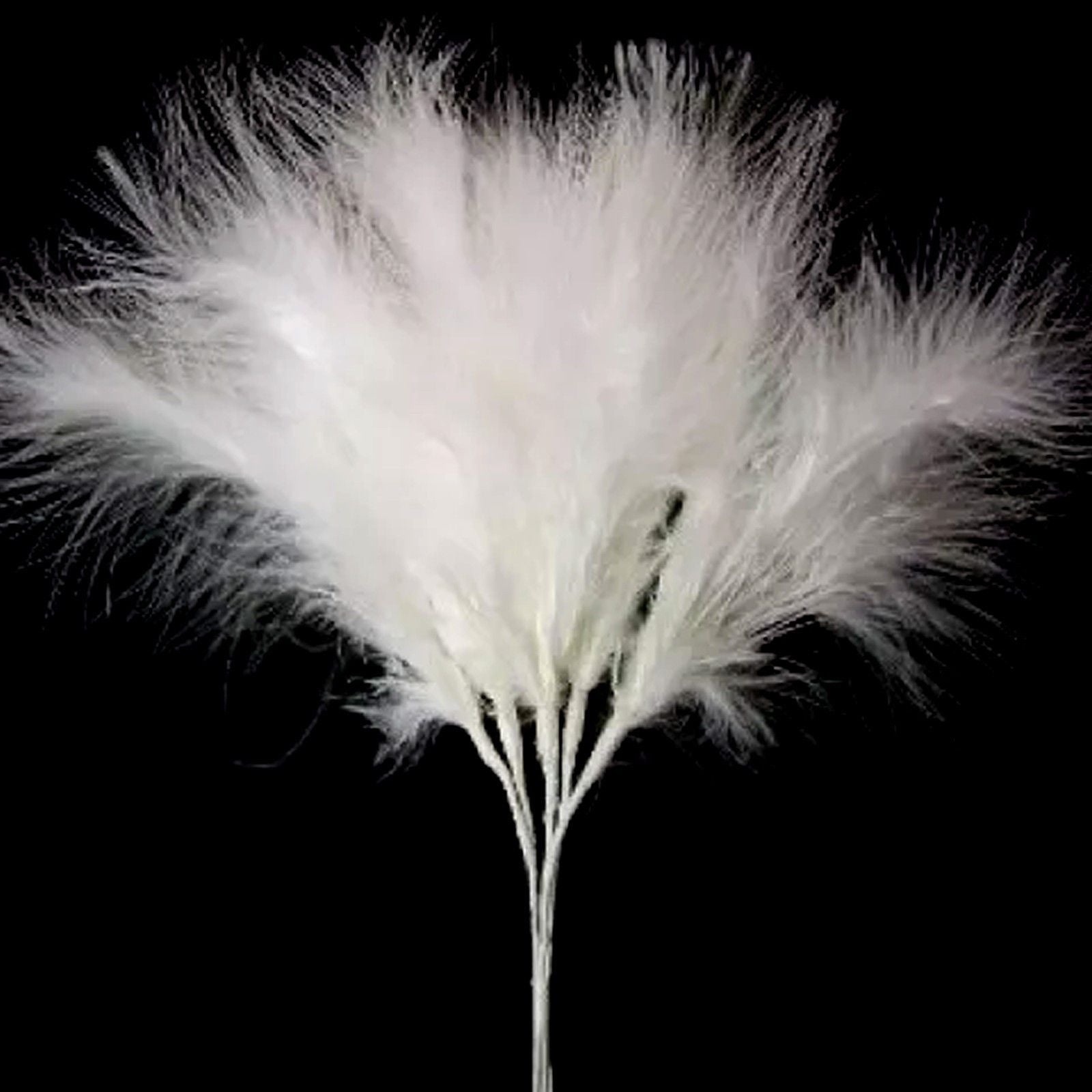 Ivory Marabou Fluff Feathers