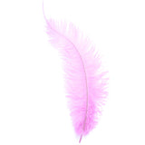 Diamante Crafts Ostrich Feathers 10" - 12" / 25cm- 30cm - Plume Fluffy - Pale Pink