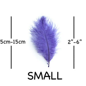 Lilac Ostrich Feathers 2" - 6"