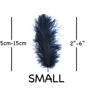 Navy Blue Ostrich Feathers 2" - 6"