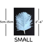 Pale Blue Ostrich Feathers 2" - 6"
