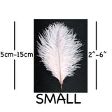Pale Pink Ostrich Feathers 2" - 6"
