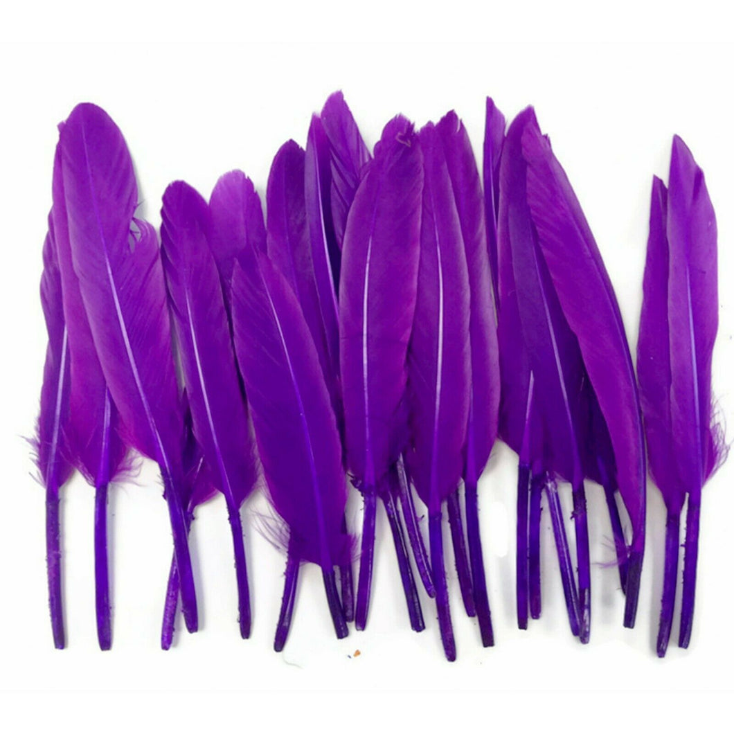 Purple Duck Feathers