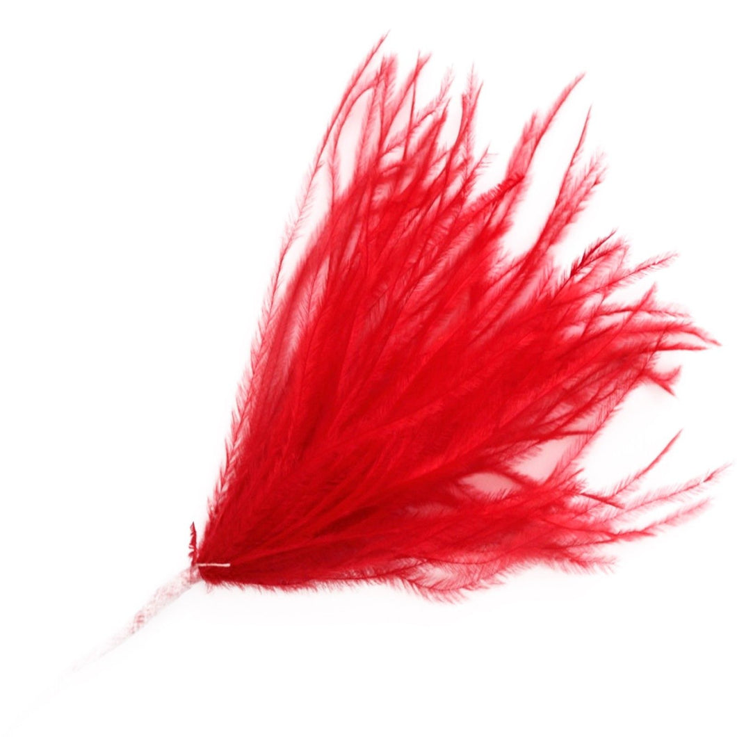 Red Wisps Ostrich Feathers