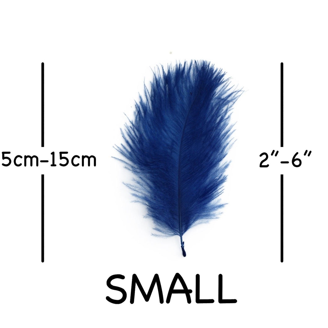 Royal Blue Ostrich Feathers 2