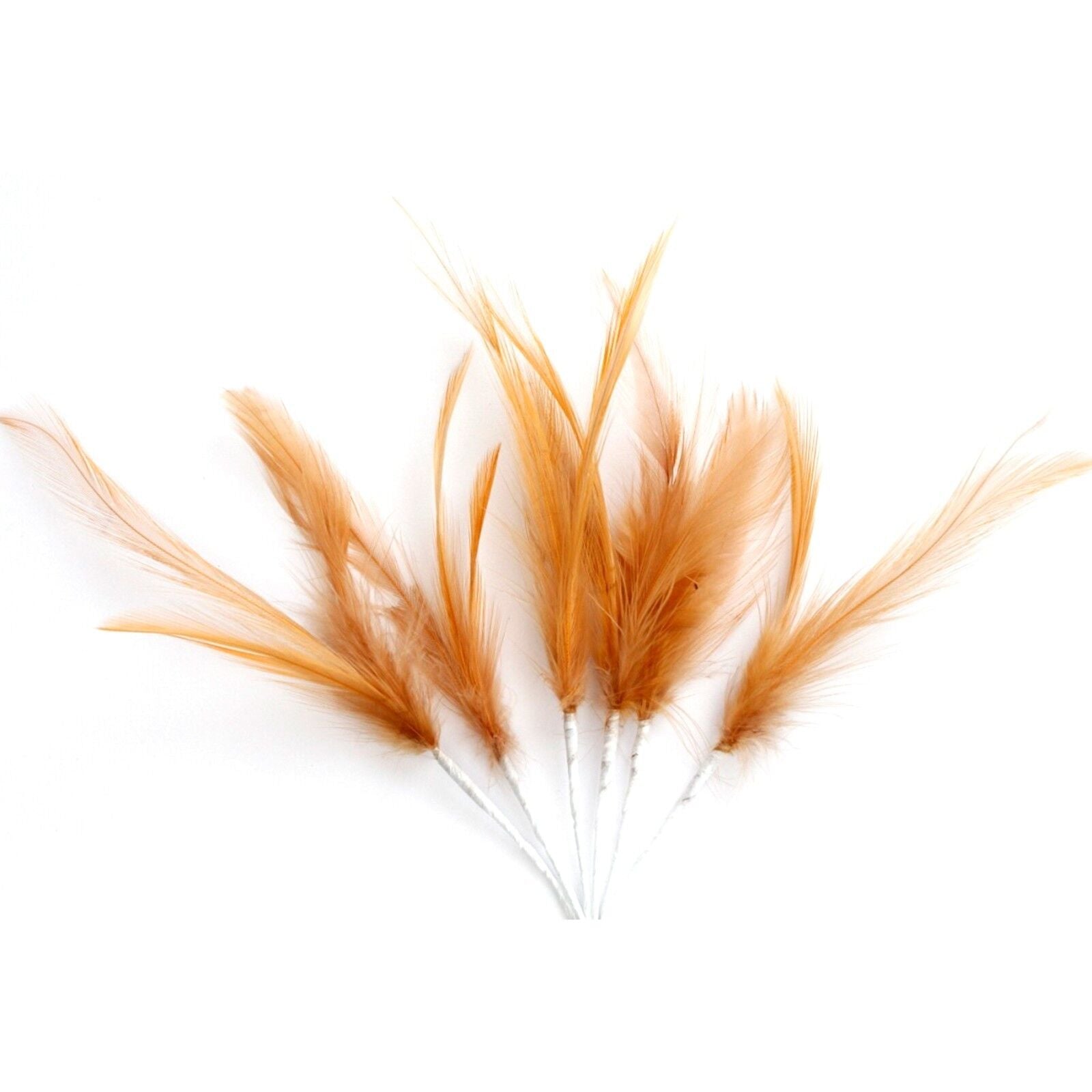 Beige Narrow Feathers