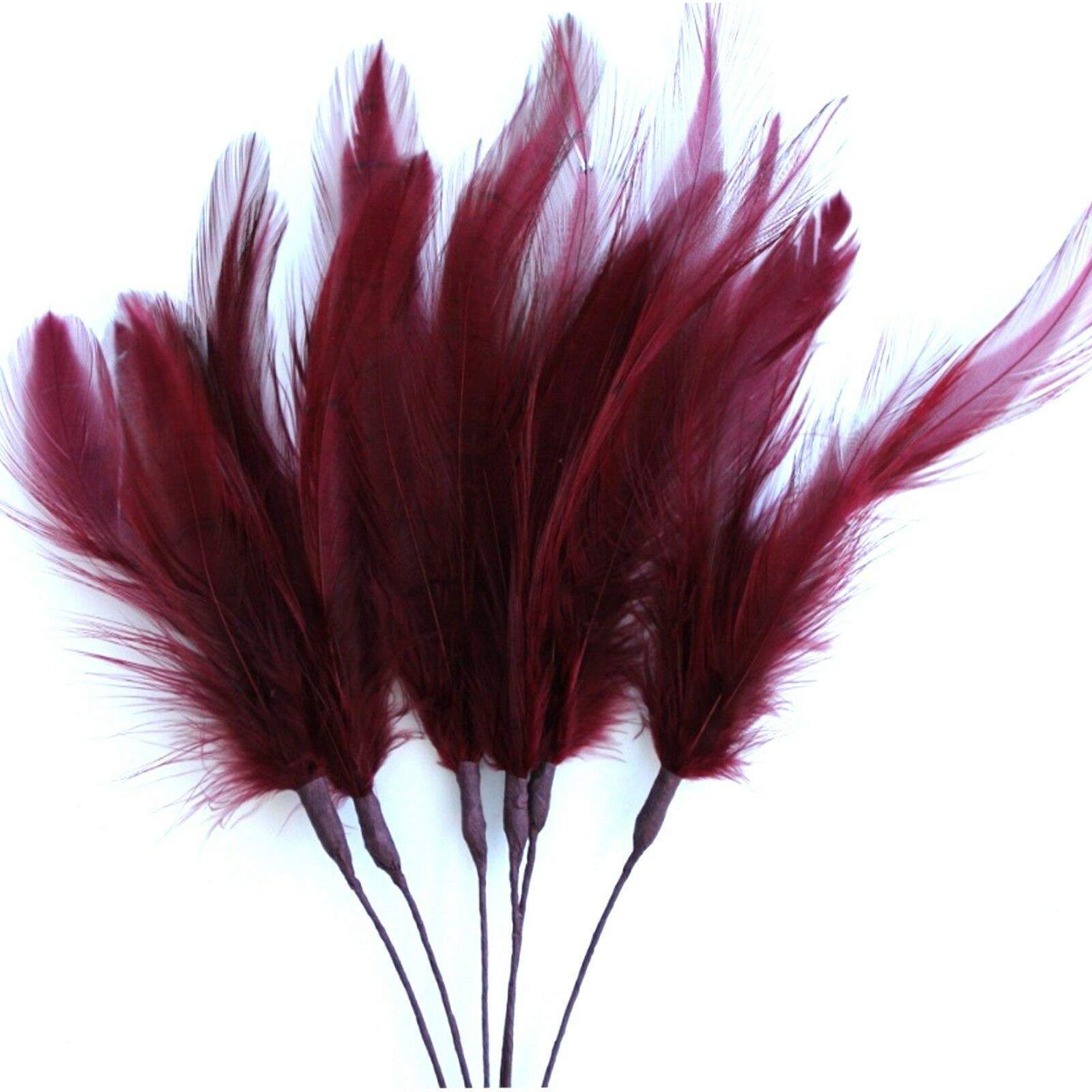 Burgundy Narrow Feathers