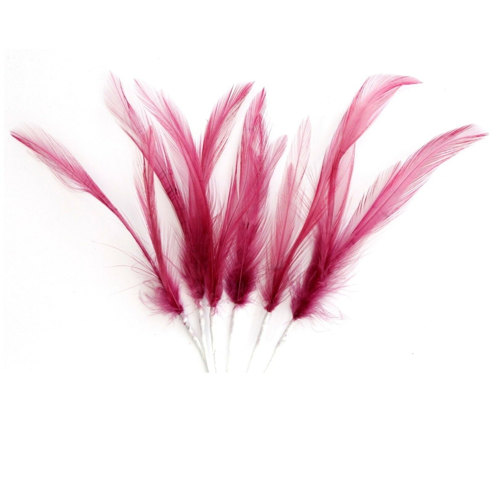Cerise Narrow Feathers