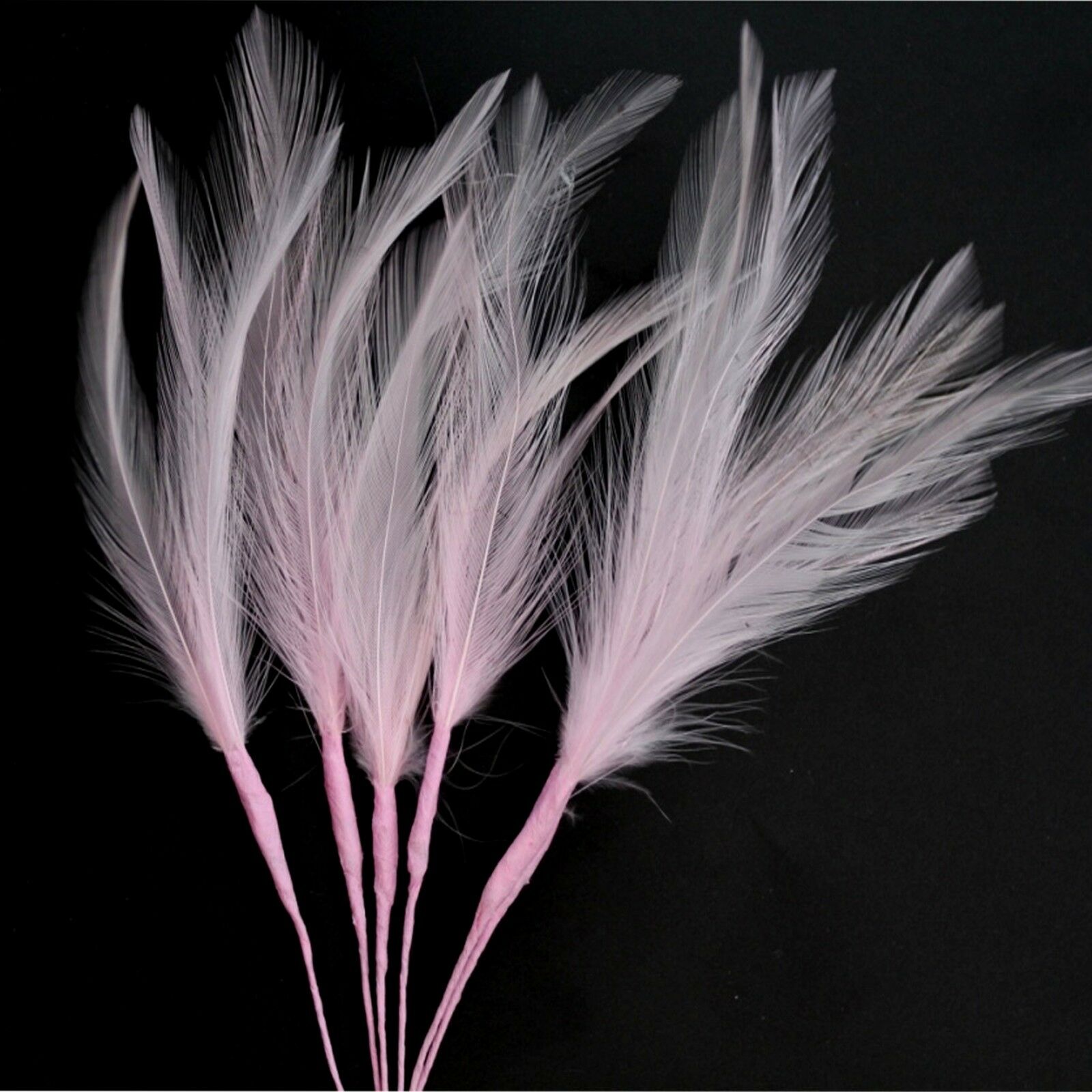 Pale Pink Narrow Feathers