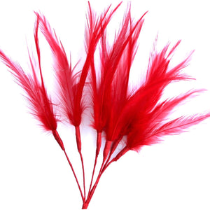 Red Narrow Feathers