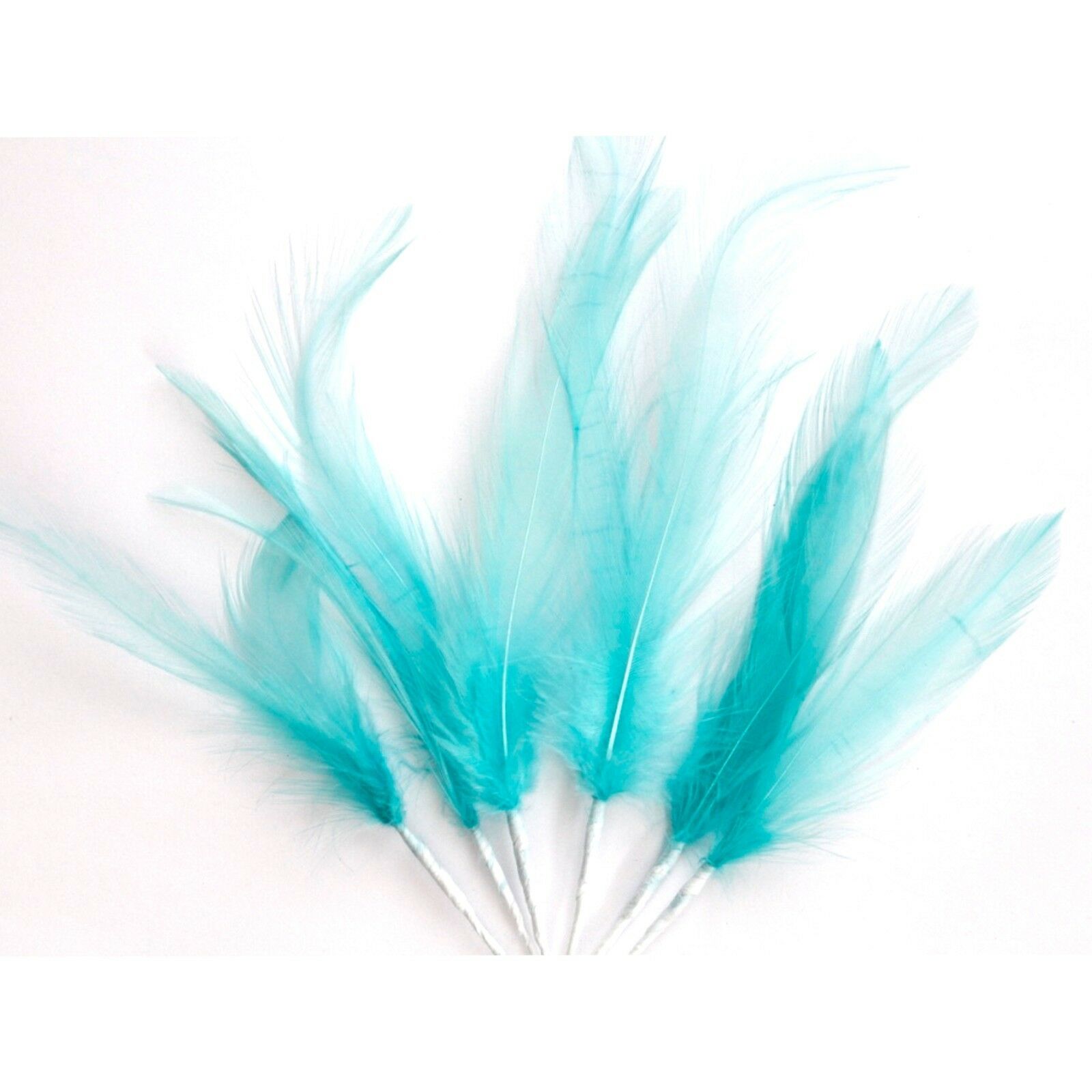 Turqoise Narrow Feathers