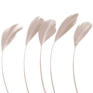 Natural Stripped Coque Feathers