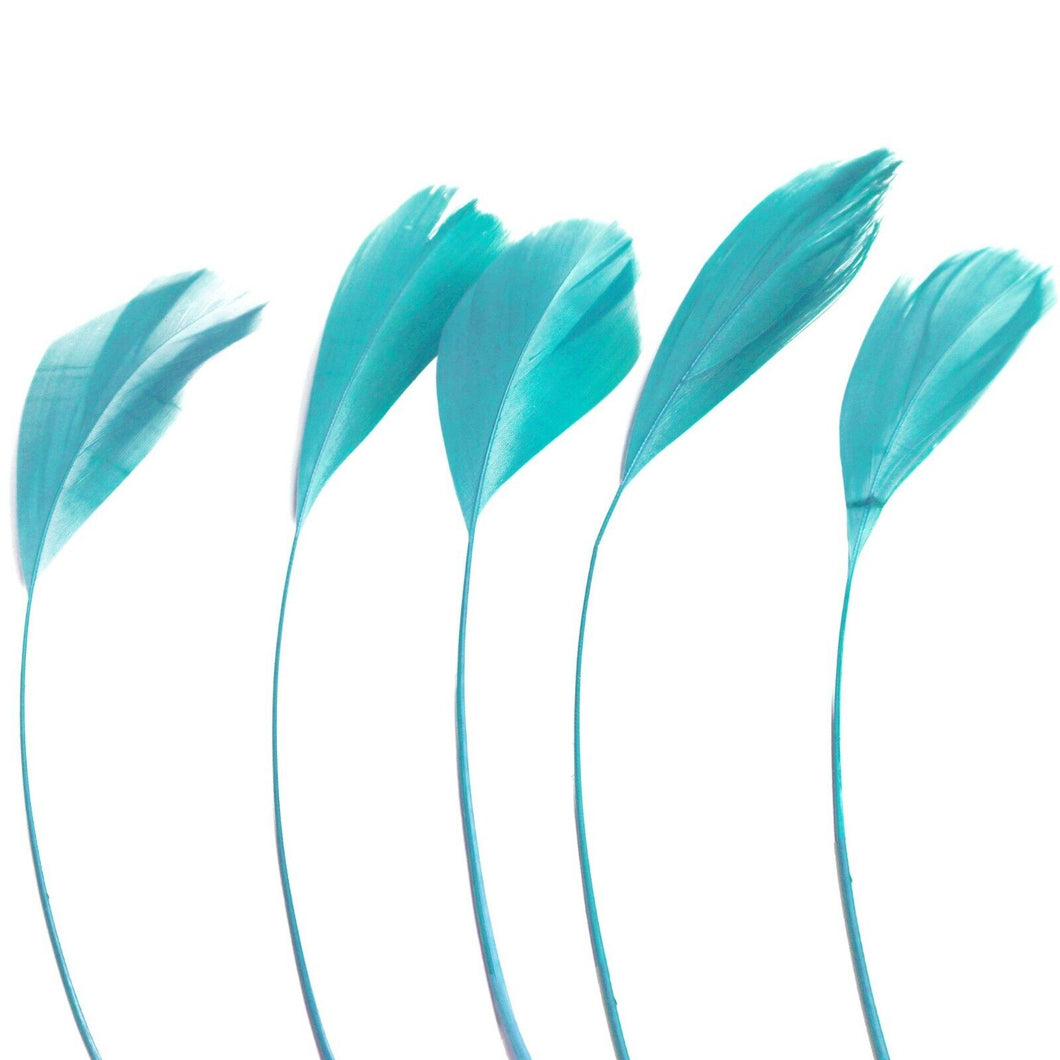 Turquoise Stripped Coque Feathers