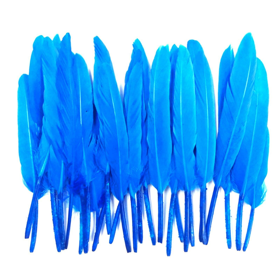 Turquoise Duck Feathers
