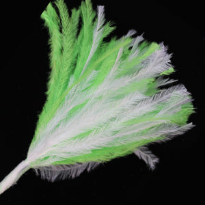 White & Lime Wisps Ostrich Feathers