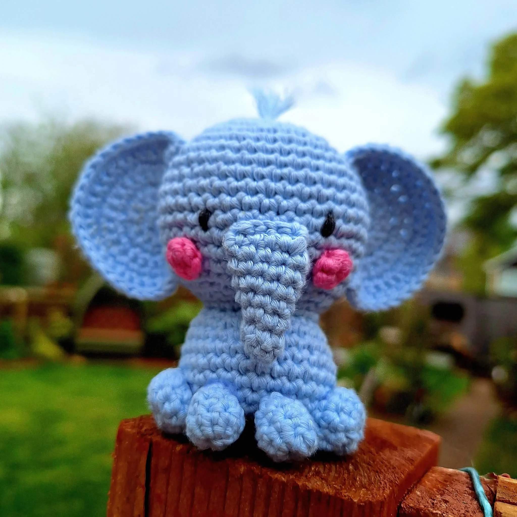 Ellie Elephant