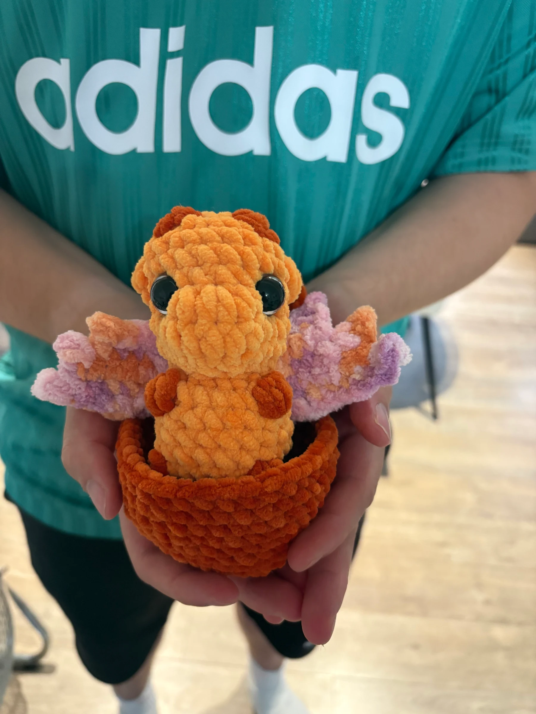 Pocket dragon in an egg