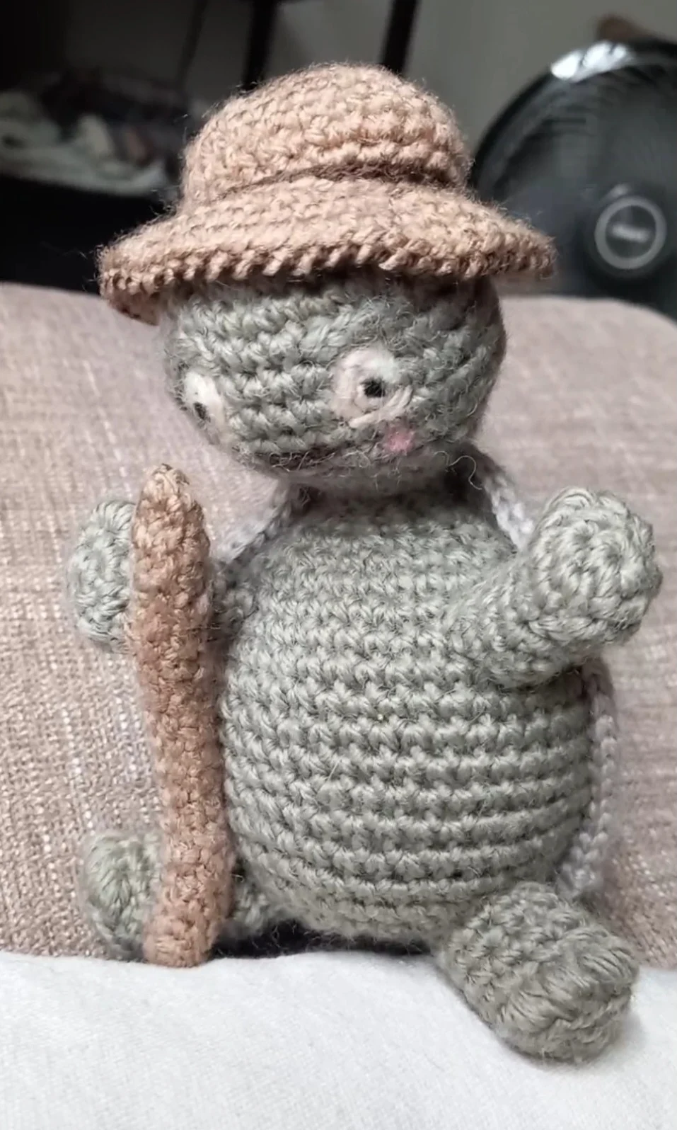 SETH (Slow Exploring Tortoise with Hat