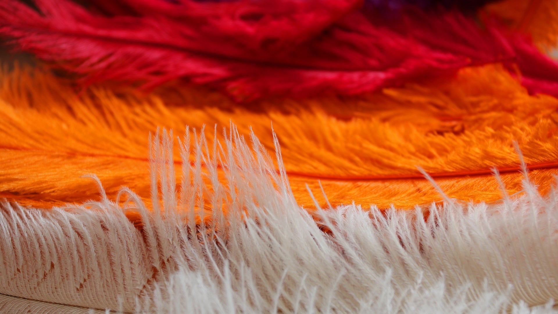 Marabou Feathers 12cm -17cm