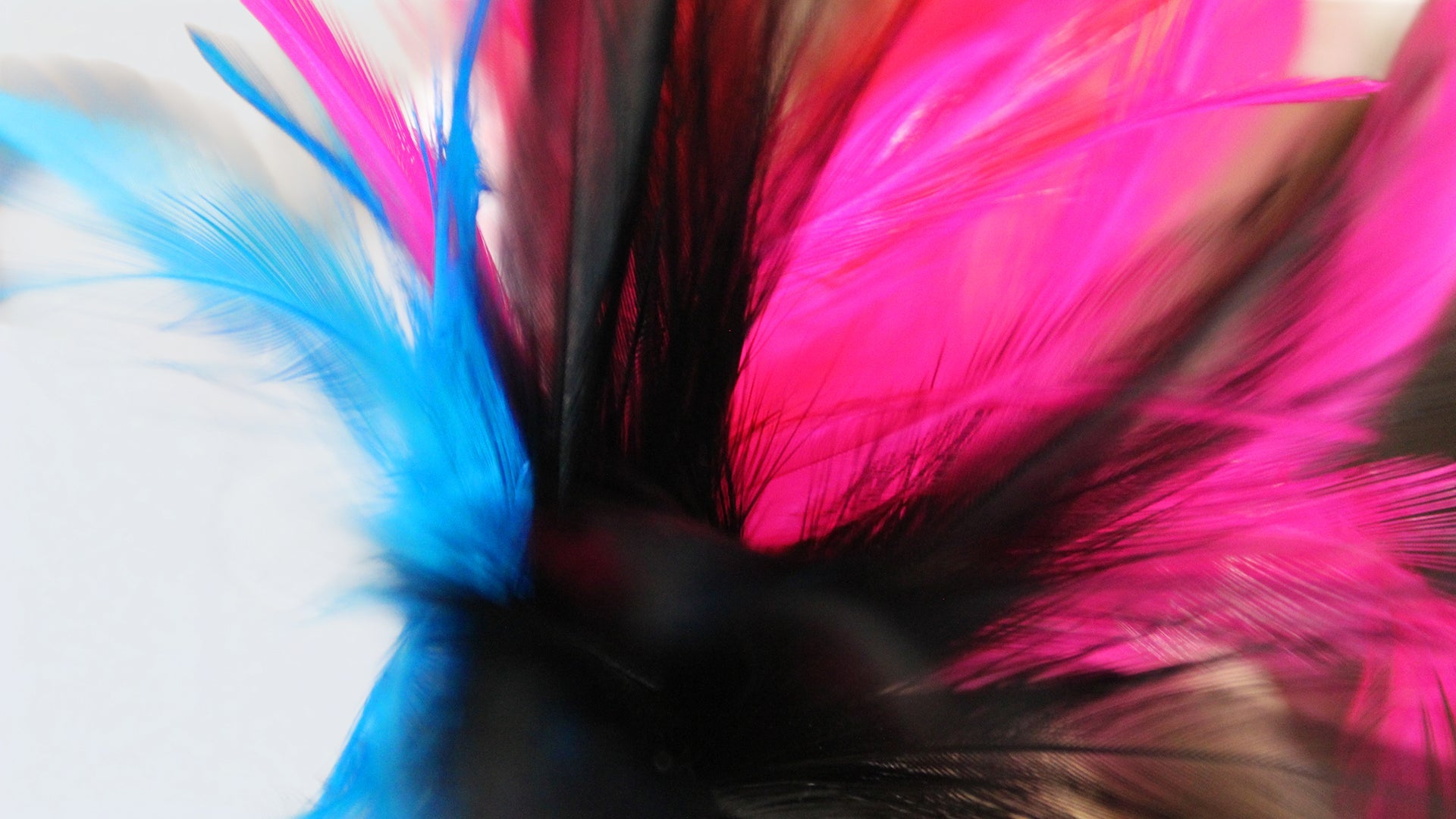 Narrow Feathers