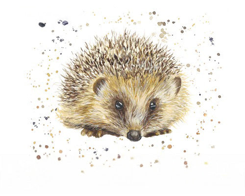 Diamante Crafts Bree Merryn Paint by Numbers - Collection of Animal Illustrations 40 x 50cm