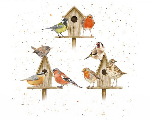 Diamante Crafts Bree Merryn Paint by Numbers - Collection of Animal Illustrations 40 x 50cm