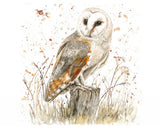 Diamante Crafts Bree Merryn Paint by Numbers - Collection of Animal Illustrations 40 x 50cm