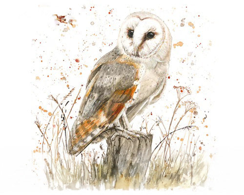 Diamante Crafts Bree Merryn Paint by Numbers - Collection of Animal Illustrations 40 x 50cm