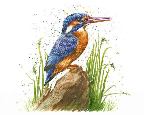 Diamante Crafts Bree Merryn Paint by Numbers - Collection of Animal Illustrations 40 x 50cm