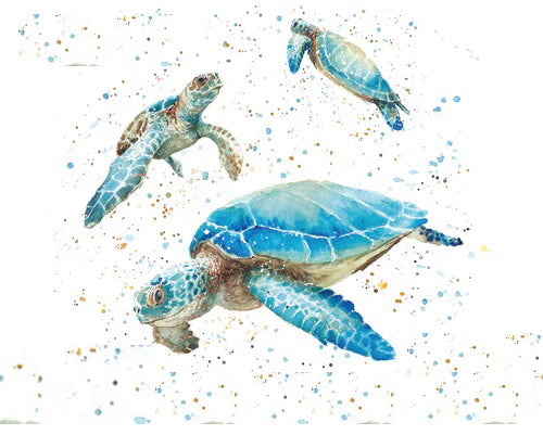 Diamante Crafts Bree Merryn Paint by Numbers - Collection of Animal Illustrations 40 x 50cm