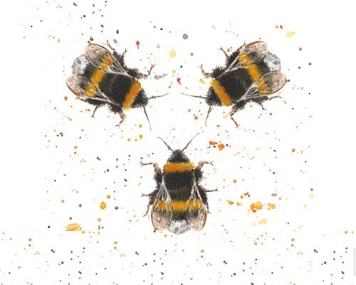 Diamante Crafts Bree Merryn Paint by Numbers - Collection of Animal Illustrations 40 x 50cm