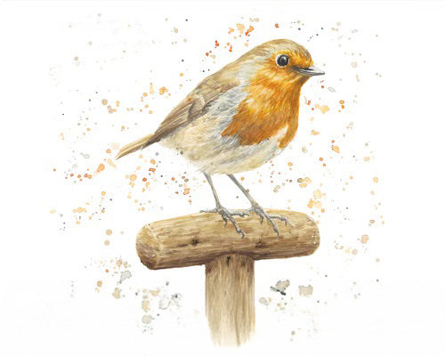 Diamante Crafts Bree Merryn Paint by Numbers - Collection of Animal Illustrations 40 x 50cm