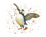 Diamante Crafts Bree Merryn Paint by Numbers - Collection of Animal Illustrations 40 x 50cm
